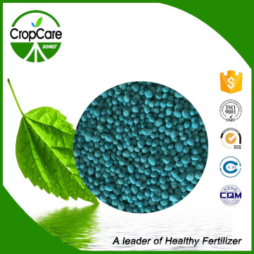 High Quality Organic Slow Release NPK Fertilizer